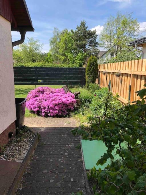 Gemuetlicher Bungalow In Cottbus - Sielow Bagian luar foto